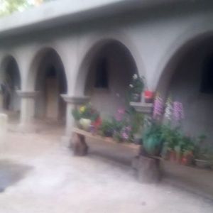 Meet your Posher, Carlos